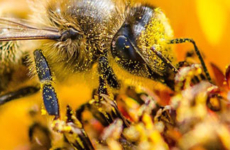 Prometerre – comprendre l&rsquo;agriculture